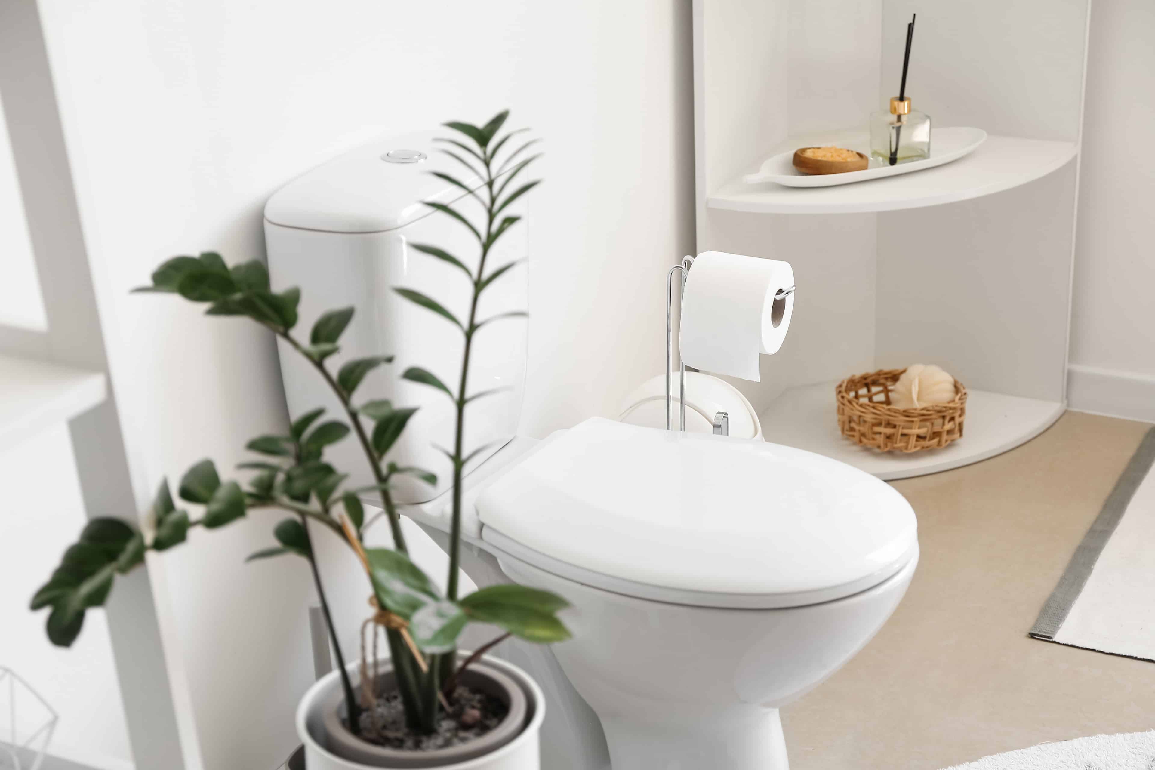 Toilet Installation image