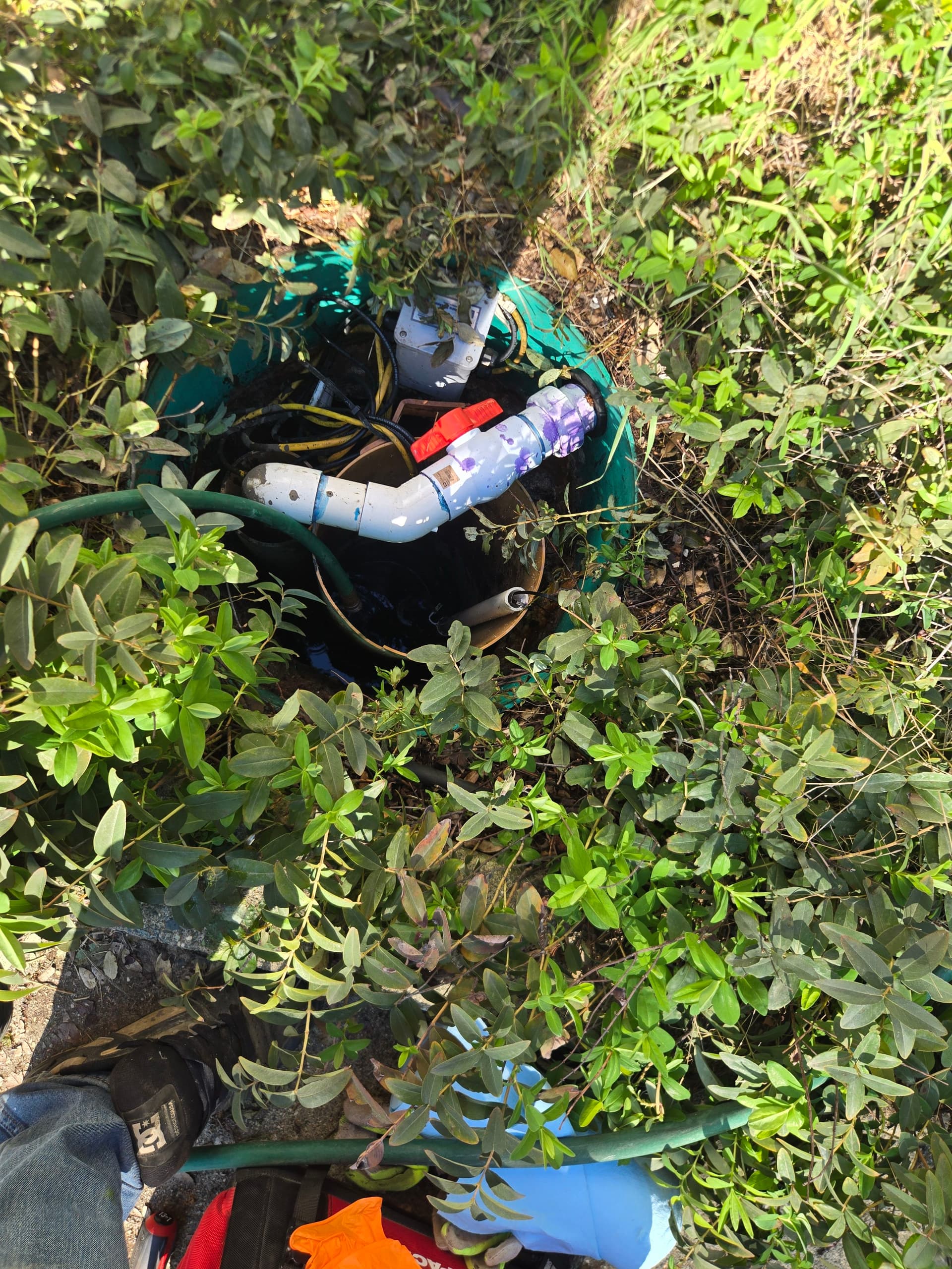 Orenco Septic Alarm Diagnosed and Fixed in Auburn image